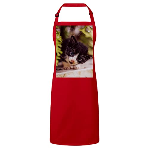 Tablier cuisine chaton noir et blanc yeux bleus une idée cadeau mignon animaux