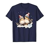 Cardinal Birds and More Co.Winter Spar
