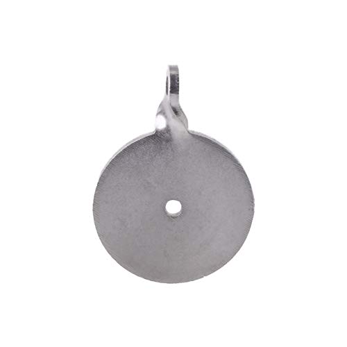 LSB-Hunting, 1 Pc en Acier Inoxydable Cible Bullseye 3cm 4cm Tir Slingshot Catapult Aim Exercice 3cm 4cm (Color : 3cm) Cover