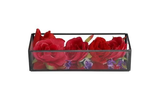 Image of Vintage Rectangular Brass Glass Tray with Jewelry Organizer, Decorative Accent, Wedding Bridal Party Gift, Candy Table Decor (Colour-Black, Size- 25cm X 11cm X 6cm (LxBxH) (Pack of 1)