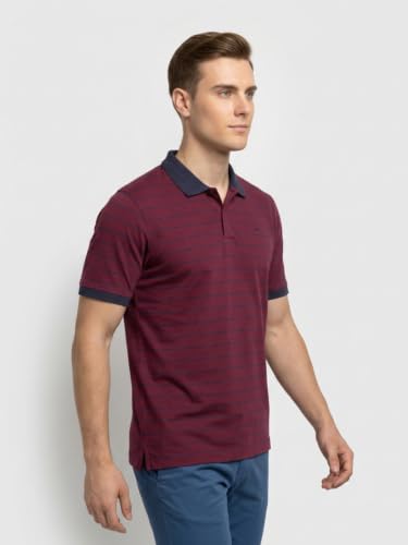 Image of Park Avenue Men Slim Fit Stripe Pattern Pure Cotton Polo Neck Half Sleeve Casual T-Shirt
