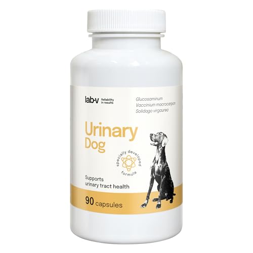 Lab-V Urinary Dog – Ergänzungsfuttermittel für Hunde zur Unterstützung der Harnwege – 90 Kapseln – mit Cranberry & D-Mannose – ohne künstliche Zusatzstoffe