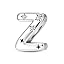 Silver Z