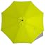 Lemon green