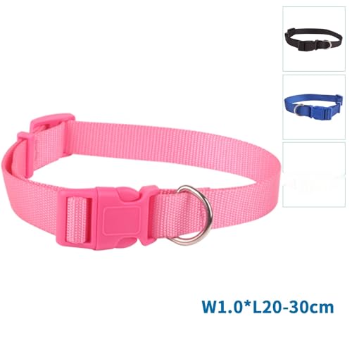 Robustes Halsband aus Edelstahl, wasserdicht, verstellbar, ideal für Spaziergänge und Training mit Haustieren.