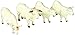 Produktbild Tomy Britains 40962 - Charolais Rinder