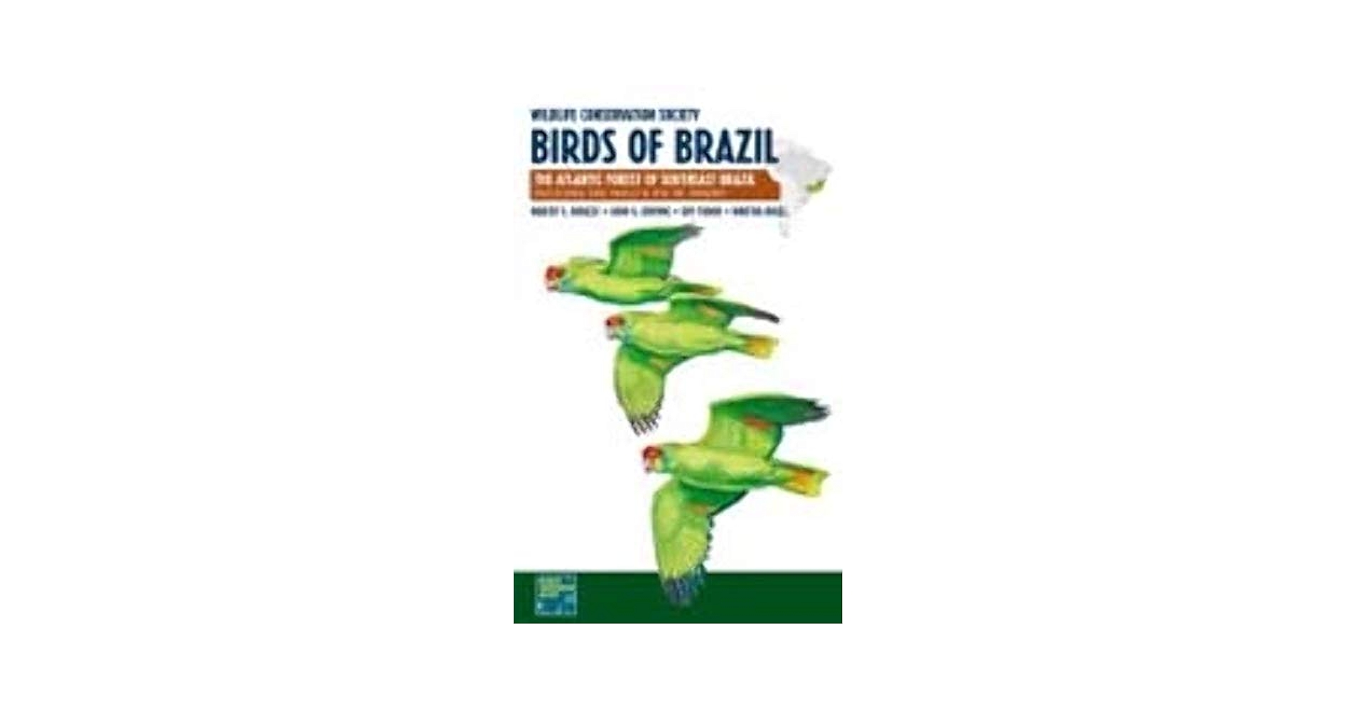 birds of brazil ブラジル 野鳥 写真集 birds of brazil ブラジル 野鳥 写真集 birds of brazil