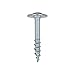 100 Pack of Rok Hardware #8 x 1