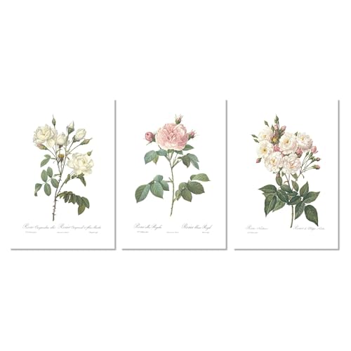 Ink Inc.- Vintage Rose Botanical Prints (Set of 3), Floral Poster Set, Gallery Wall...