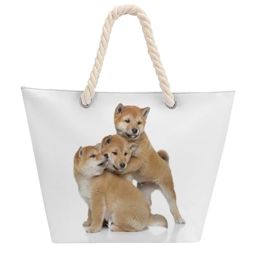 [ESISAMT] Č q  fB[X e  |  2way t@Xi[t  JWA A ʋ ʊw o s 蕨