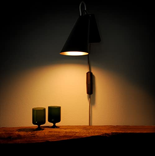 Ampoule LED réfrigérateur Segula E14 variable : intensité modulable haute performance