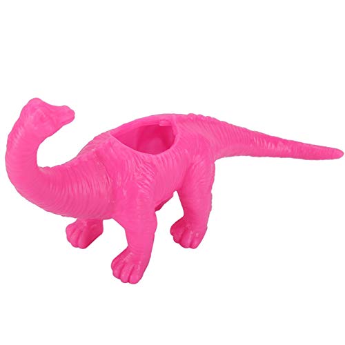 Maceta suculenta de dinosaurio, maceta de flores de bonsái de huerto (C)
