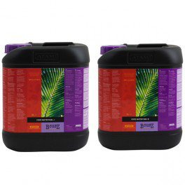 Atami B'Cuzz - Coco A&B Nutrients - 5L - For Coco Grow & Bloom
