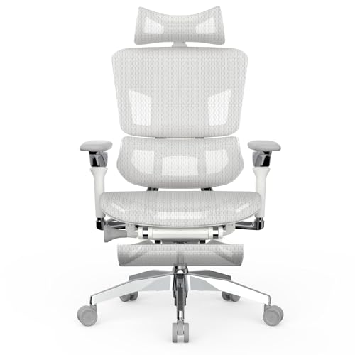 Rasical Chair Elite [�z���C�g�O���[]