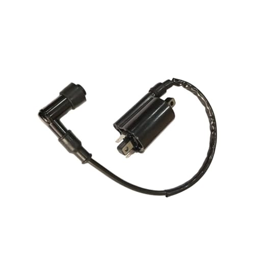 Bobine d'allumage moto à haute isolation thermique pour Virago250 et GN125 1995-2007