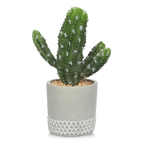Planta artificial cactus en maceta de cemento suculentas artificiales, mini cactus decorativos cactus en maceta para decoración de hogar, oficina, habitación, cuarto de baño/decoración del hogar DIY