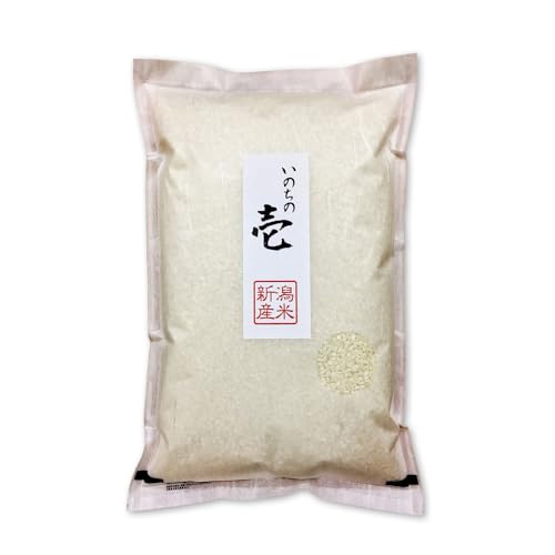 半分精米、小分代込み！最高級品種！いのちの壱玄米29キロ！6年産 いのちの壱【厳選米ドットコム】美味しいお米の通販｜全国のお米