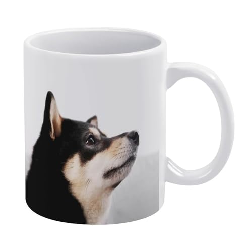 Č   }OJbv   킢 yMtg R[q[Jbv Z~bN Z~bN}OJbv ڈpR[q[Jbv y a v[g 330ml