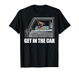 Dogs In Cars Co.