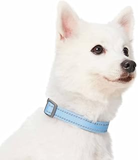 Amazon Brand - Umi Pastel Color Reflective Dog Collar in Harvest Pumpkin, Medium, Neck 37cm-50cm, Adjustable Collars for Dogs