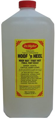 Dr Naylor HHG Hoof N Heel Livestock Ointment 128-oz - Quantity 44