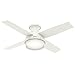 Hunter 59244 Dempsey Ventilateur de plafond à profil bas avec lumière et télécommande Blanc 112 cm