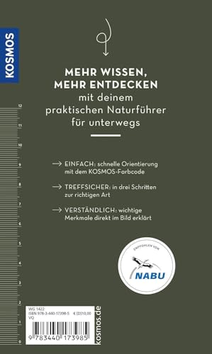 Basic Schmetterlinge: 143 Arten einfach und sicher erkennen - In drei Schritten zur richtigen Art (Kosmos-Naturführer Basics)