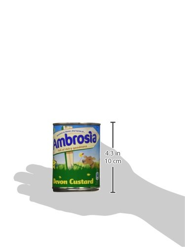 Ambrosia Devon Custard (400g) - Pack of 6