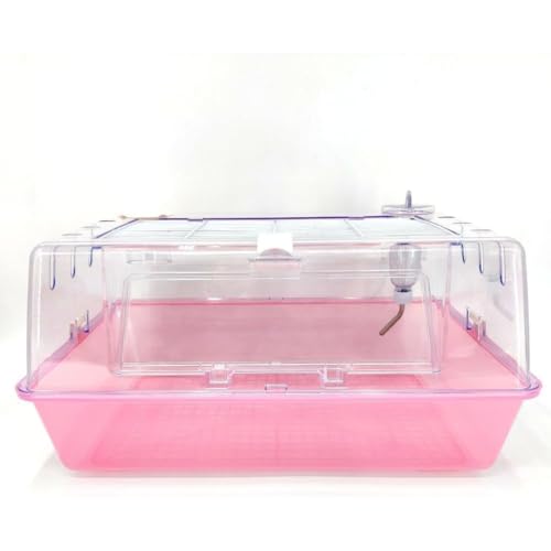 nX^[ P[W JQEJDKE P[W ybg{bNX ^ DIY L ʋC  S[fxA bg nlY~ ɍœK (sN)