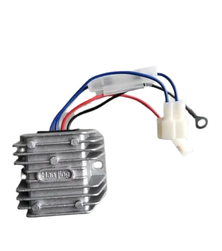 Cargador HJWYQ-5BA Compatible con regulador de Voltaje de 4 Cables