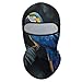 Fashion Lightweight Lovely Blue Parrot Rain Ski Mask, Balaclava Face Cover,Full Head Masks for Snowboard Motorcycle Sports Riding