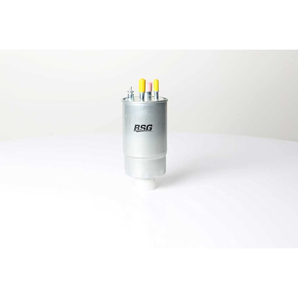 BSG 25-130-001 Fuel Filter - Filtro para estanques