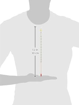 Amazon.co.jp: シンワ測定(Shinwa Sokutei) 棒状温度計 H-5S