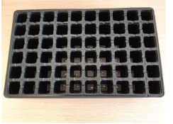 GROWMANIA Confezione da 5 Vassoi di Germinazione 60 Alveoli | Semenzale 100% Materiale riciclabile | Propagatore di semi