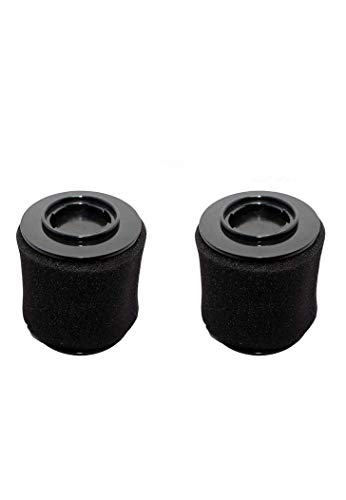 HOMECARE Products Replacement for Bissell Poweredge Washable and Reusable Dust Cup Filter Part # 54A2 Pack of 2