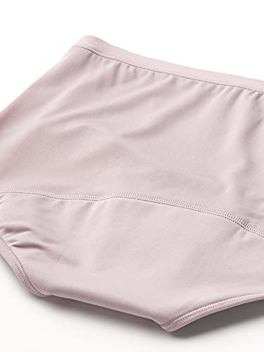 Hanes womens Hanes Women's Fresh & Dry Brief Underwear 3-pack Briefs