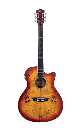 WASHBURN エレキギター パープル 6弦 WASHBURN エレキギター パープル 6弦 WASHBURN エレキギター