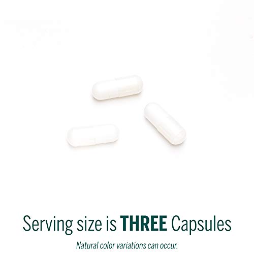 Genestra Brands Amino L-Lysine | Essential Amino Acid Supplement | 60 Capsules #TOP3