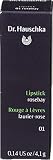 Dr. Hauschka DHA00172 Rossetto 01, Rosebay, 4.1 g