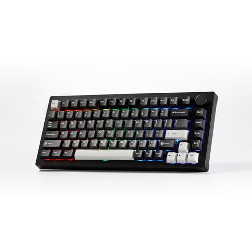 Akko 5075 V3 Black & Silver Gaming Keyboard, 75%...