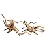 emours Driftwood Branches Reptiles Aquarium Decoration Assorted Size,(5.5-8 inch in Length),4 Pieces (Spider Wood)