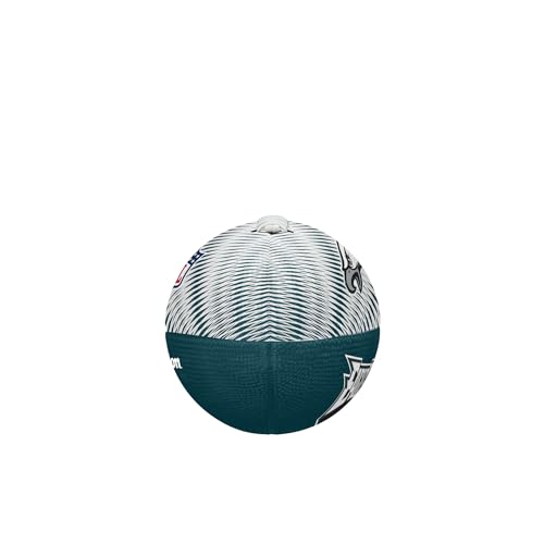 Image of WILSON Unisex NFL Team Tailgate Footballs