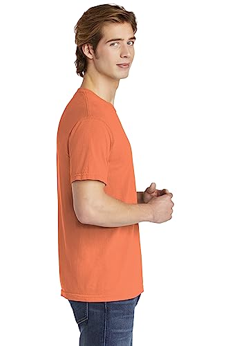 Image of Comfort Colors Adult Short Sleeve Tee, Style G1717