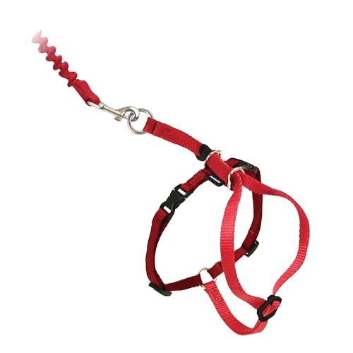  PetSafe Come With Me Kitty Harness and Bungee Leash
