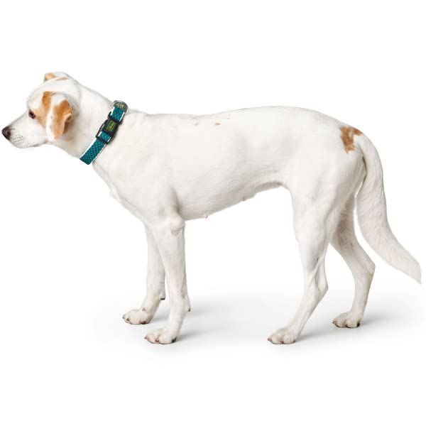 HUNTER Hundehalsung HILO VARIO BASIC, Farbe: orange, innovatives 3D-Mesh-Material, atmungsaktiv, leichter Kühleffekt bei Wärme, reflektierend, stufenlos verstellbar, angenehm leicht, Größe: M-L