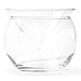 Glass Caviar Server