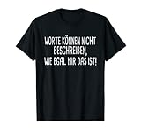 Ironischer Spruch Sarkasmus
