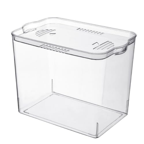 MsiDtsoy vX`bN    Wt 傫 A͔| e  Ȑ ƒp ȋ 甫pi 琬 CeA|bgSޗϏ܋p (Wt{f)