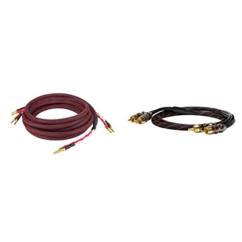 Câble haut-parleur Dynavox Perfect Sound avec fiches bananes plaquées pour une pureté sonore absolue