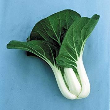 Fash Lady 350 ++ Pak Choi - Semi per Carbone, Colore: Bianco (Brassica rapa)